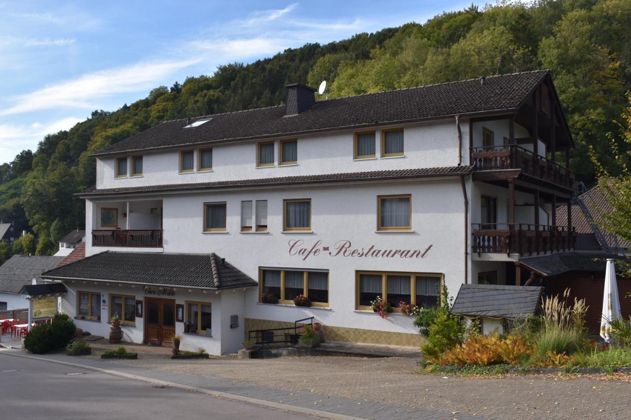 Hotel-Restaurant Theis-Muehle Biersdorf Kültér fotó