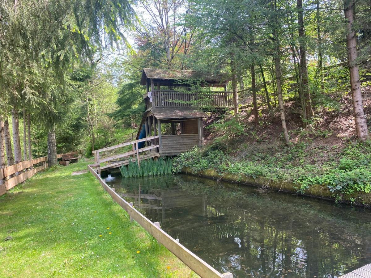 Hotel-Restaurant Theis-Muehle Biersdorf Kültér fotó